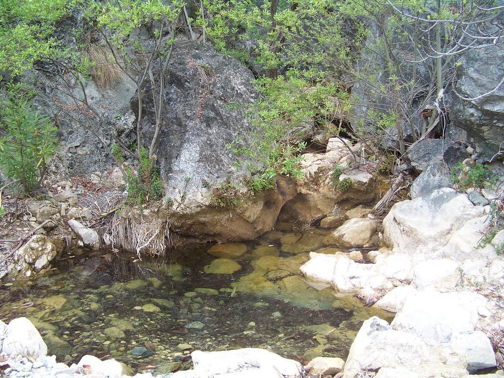 Hostal Sango Sierra De Las Nieves Alozaina ภายนอก รูปภาพ
